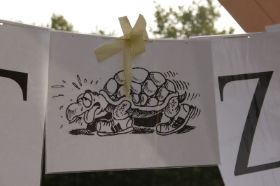Schildkröte (1).jpg